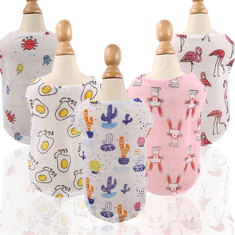 5-Farben-Sommer-schöne Cartoon – Winter Clothing Colors Bewertung und Preis
