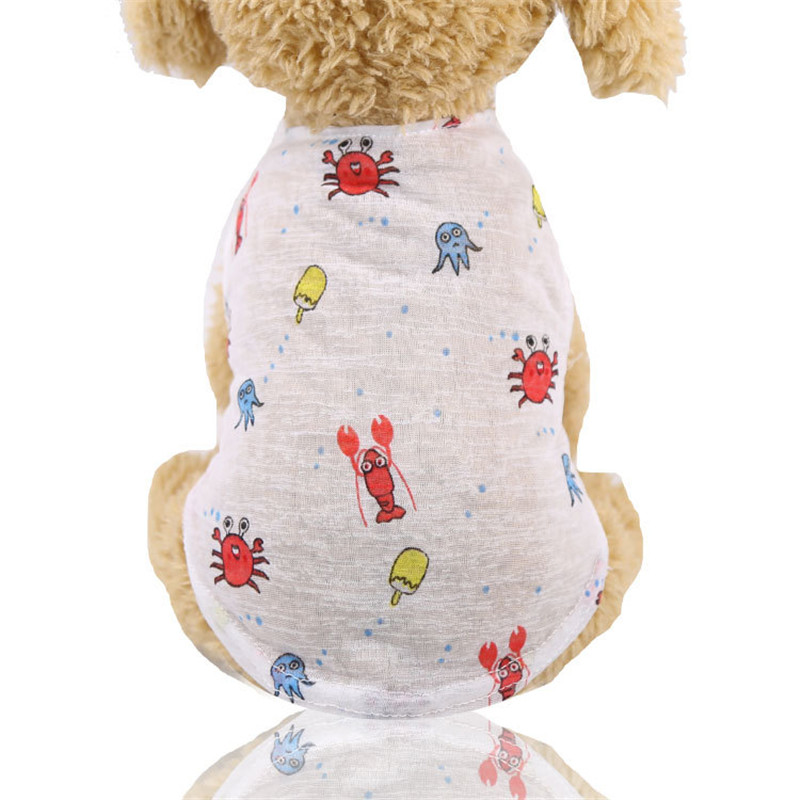 5-Farben-Sommer-schöne Cartoon – Winter Clothing Colors Bewertung und Preis