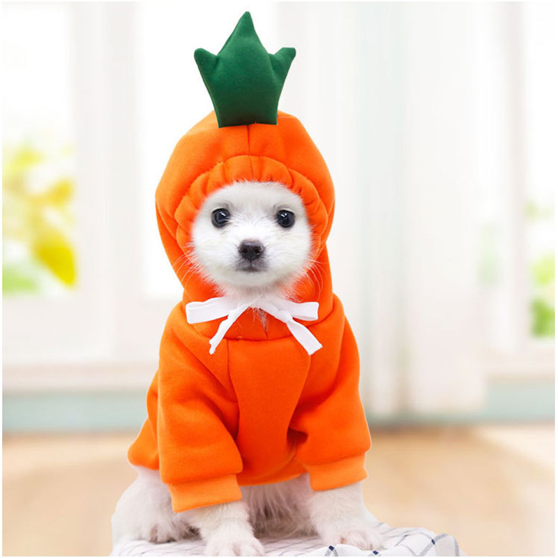 Niedliche Obst-Hundekleidung f – Winter Clothing Pictures Bewertung und Preis