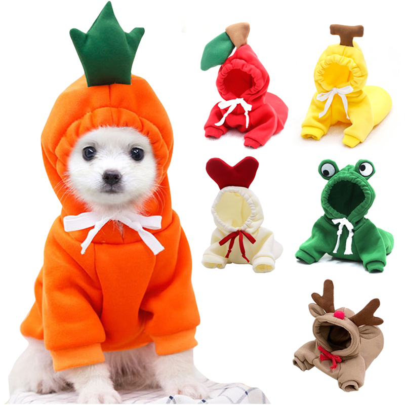 Niedliche Obst-Hundekleidung f – Winter Clothing Pictures Bewertung und Preis