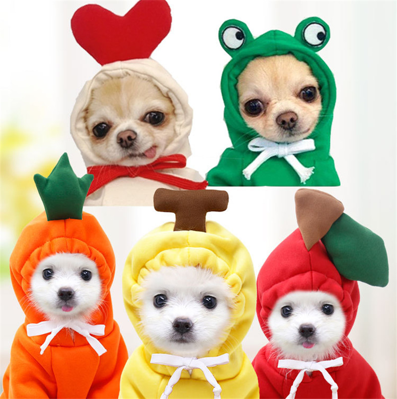 Niedliche Obst-Hundekleidung f – Winter Clothing Pictures Bewertung und Preis